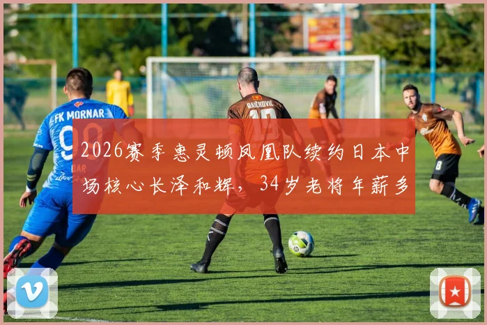 2026赛季惠灵顿凤凰队续约日本中场核心长泽和辉，34岁老将年薪多少？技术特点与球队战术解析