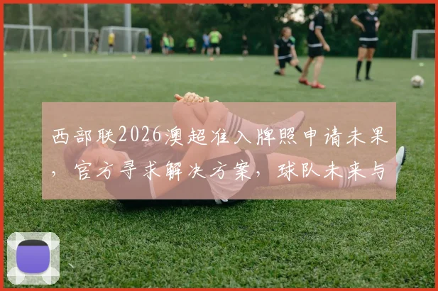 西部联2026澳超准入牌照申请未果,官方寻求解决方案,球队未来与球迷何去何从